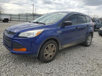  Salvage Ford Escape