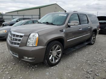  Salvage Cadillac Escalade