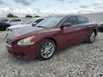  Salvage Nissan Maxima