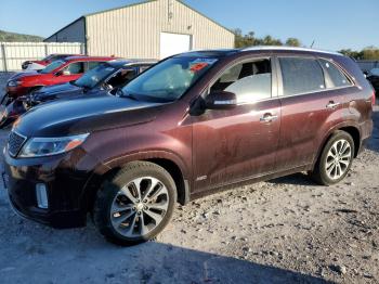  Salvage Kia Sorento