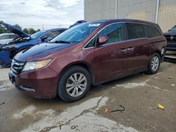  Salvage Honda Odyssey