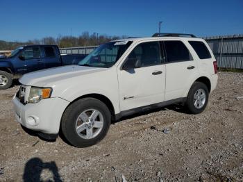  Salvage Ford Escape