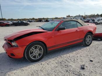  Salvage Ford Mustang