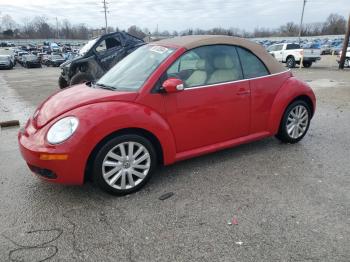  Salvage Volkswagen Beetle