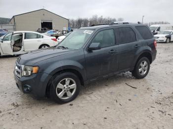  Salvage Ford Escape