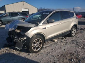  Salvage Ford Escape