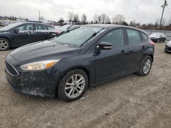  Salvage Ford Focus