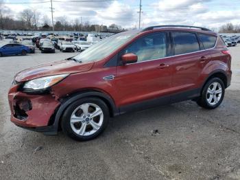  Salvage Ford Escape