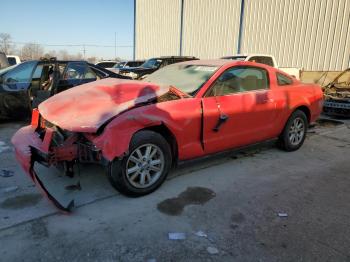  Salvage Ford Mustang