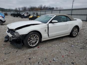  Salvage Ford Mustang