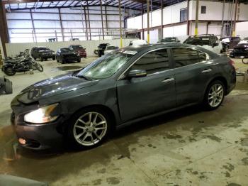  Salvage Nissan Maxima