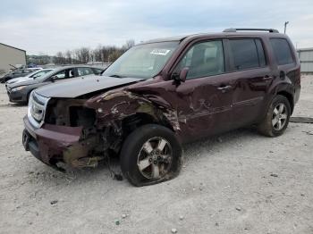  Salvage Honda Pilot