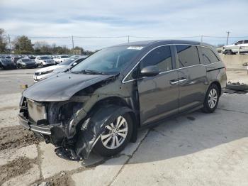  Salvage Honda Odyssey