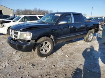  Salvage Dodge Dakota