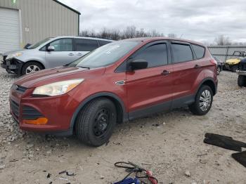  Salvage Ford Escape