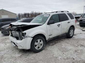  Salvage Ford Escape