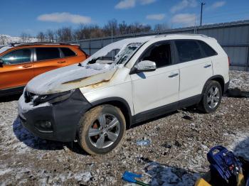  Salvage Kia Sorento