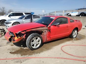  Salvage Ford Mustang