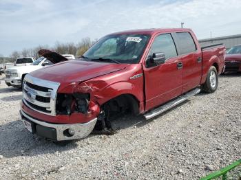  Salvage Ford F-150
