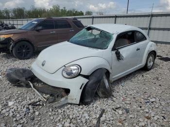  Salvage Volkswagen Beetle