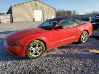  Salvage Ford Mustang