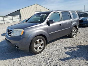  Salvage Honda Pilot