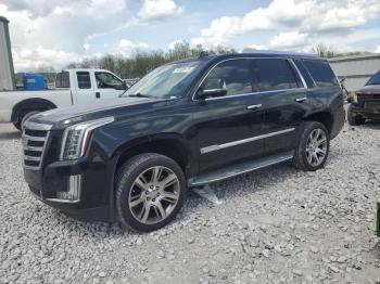  Salvage Cadillac Escalade