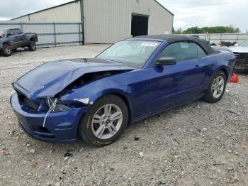  Salvage Ford Mustang