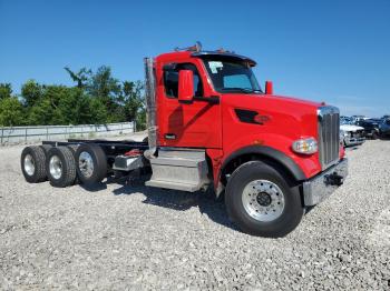  Salvage Peterbilt 567