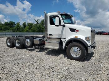  Salvage Peterbilt 567