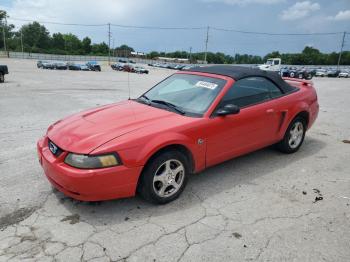  Salvage Ford Mustang