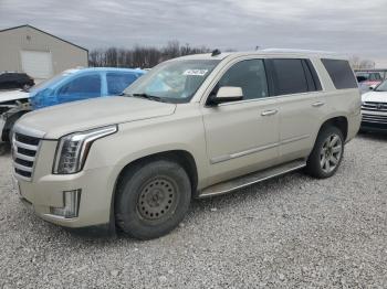  Salvage Cadillac Escalade