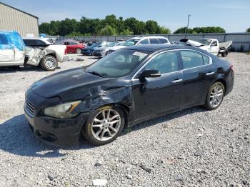  Salvage Nissan Maxima
