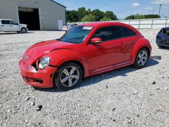 Salvage Volkswagen Beetle