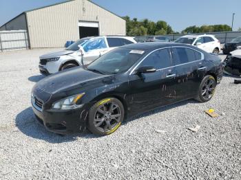  Salvage Nissan Maxima