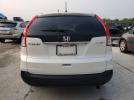 Honda Crv Exl Image 7