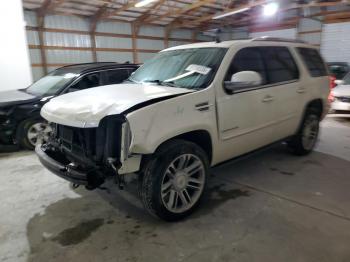  Salvage Cadillac Escalade