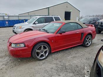  Salvage Ford Mustang