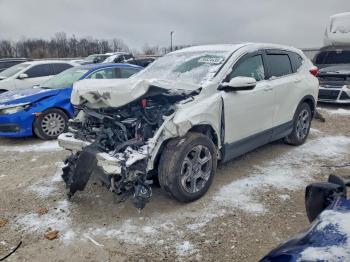  Salvage Honda Crv