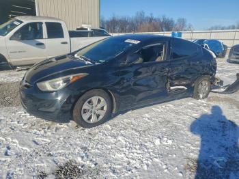  Salvage Hyundai ELANTRA