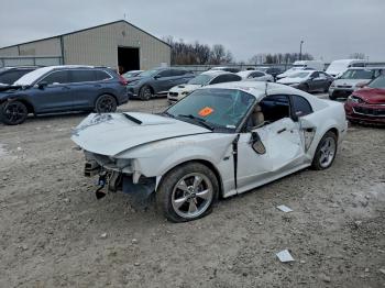  Salvage Ford Mustang