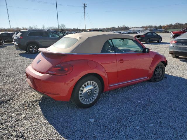 Volkswagen Beetle Image 4