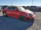 Volkswagen Beetle Image 11