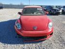 Volkswagen Beetle Image 5