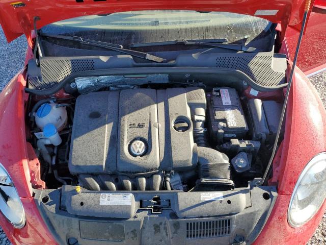 Volkswagen Beetle Image 9