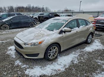  Salvage Ford Focus