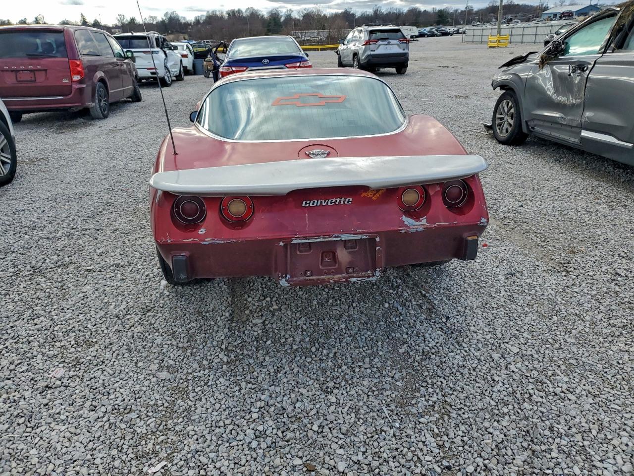 Chevrolet Corvette Image 5