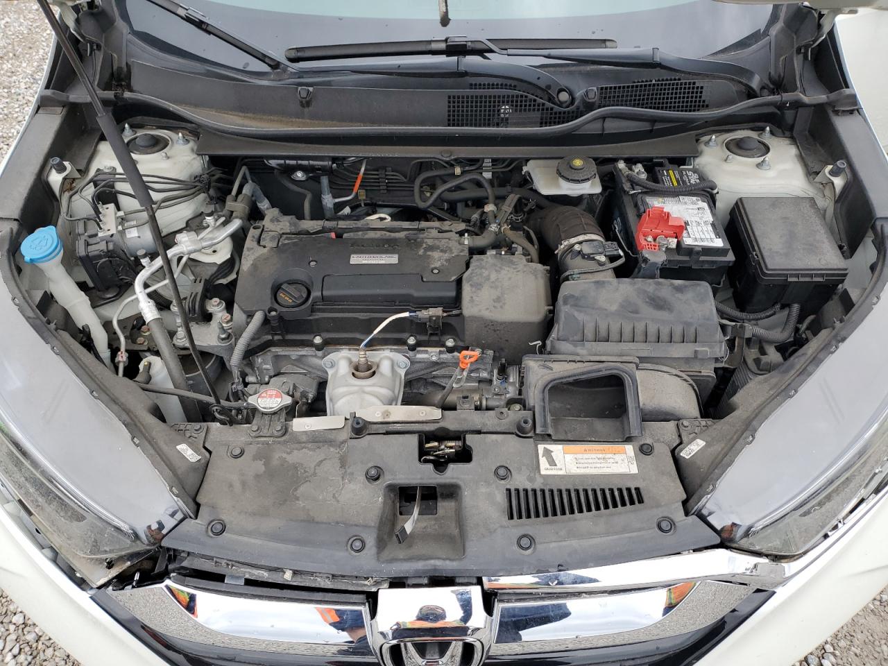 Honda Crv Lx Image 10