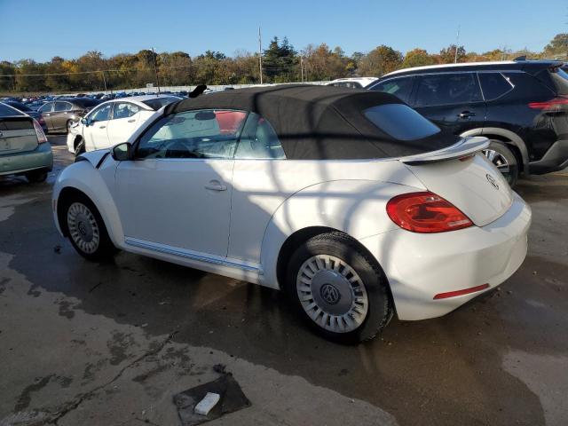 Volkswagen Beetle Image 5