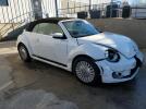 Volkswagen Beetle Image 3